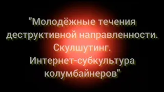 26.02.22 Урок информационной грамотности"Молодежные течения деструктивной направленности.Скулшутинг"