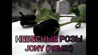НЕБЕСНЫЕ РОЗЫ - Jony /Alexei Shkurko(remix)