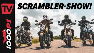 So gleich und doch verschieden! - Ducati Scrambler Vergleich 2021