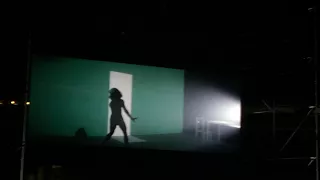 Sia Live in Auckland 05.12.2017- Chandelier