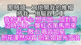 那賊頭一刀挑開我的帷帽，將我一併驅趕上車，我掐著手心，想不出一個對策，這時只見一襲紅衣策馬而來，以一敵七，颯沓如星，劍花凜然似霜，劍氣如銀光雪浪【幸福人生】