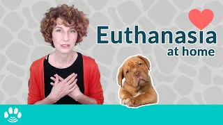 Pet Euthanasia At Home: A Spiritual Option?