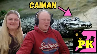 Couple Reacts to Top 15 Most Dangerous Animals In Brazil