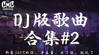 DJ版 歌曲合集2 【热爱105℃的你、半生雪、丢了你、起风了】（动感歌词/pīn yīn gē cí）