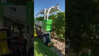 Field Demo Of Weeding Robot TED in Ontario || Made By Naio Technologies Germany || #shorts