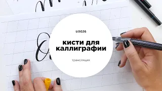 Как выбрать кисть для каллиграфии? Все о кистях и производителях.