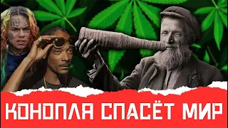 Неожиданная судьба Русской конопли.