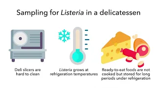 Environmental Health Quick Train Videos: General Considerations for Sampling for Listeria