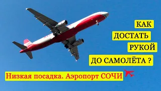 Самолеты НАД ГОЛОВОЙ в Сочи. Заход на посадку.