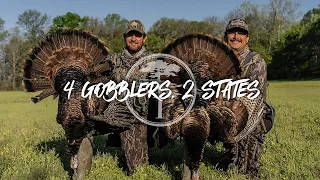Turkey Hunting- 4 gobblers, 2 states, SAME DAY!