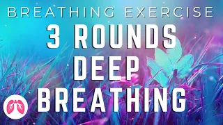 Powerful Nose Deep Breathing Exercises | 3 Rounds | TAKE A DEEP BREATH