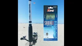 SURF FISHING WITH SABIKI RIG?!