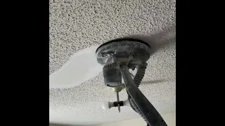 Removing Popcorn Ceiling with Festool Planex Easy