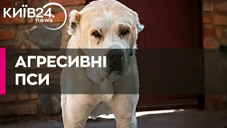 "Собаки Лагодича": алабаї скандального бізнесмена з Дрогобича пошматували кількох собак
