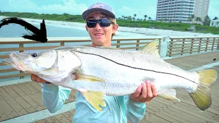 Pier Fishing for BIG SNOOK