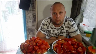 Электро соковыжималка для томатов своими руками