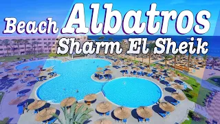 Hotel Beach Albatros Sharm El Sheik 4*★, Review video HD