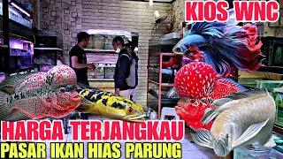 HARGA TERJANGKAU !!! BELI DISINI TIDAK AKAN KECEWA || HARGA IKAN LOUHAN DI PASAR IKAN HIAS PARUNG