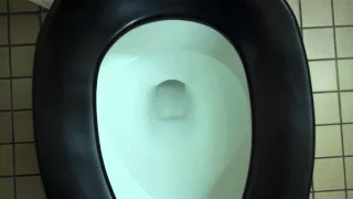 Kohler Toilet at Walmart