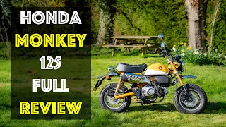 Honda MONKEY Full Review! It's a revelation! This little bike packs a big punch!