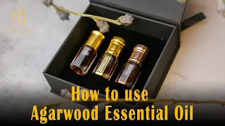 How to use Agarwood Essential Oil? Important things you should know about Oud Oil