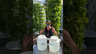 Vertical farming with aeroponic towers allows you to save up to 95% water usage and 90% space usage.