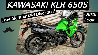 Kawasaki KLR 650S - Giant or Dinosaur? Wahoo!