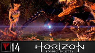 HORIZON Forbidden West #14 - Друзья