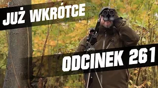 Darz Bór zapowiedź odcinka 261