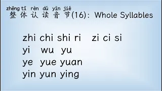 [Eng Sub] Whole Syllables of pinyin 整体认读音节 | Chinese Pinyin Song | Chinese song