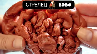 🔥 СТРЕЛЕЦ 2024 ГОД СУДЬБОНОСНЫЕ ПЕРЕМЕНЫ Узнай что ждёт Чем судьба порадует? Гадание на воске