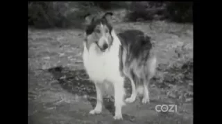 Lassie - Episode #356 - "Incident of the Eagle" - Season 11, Ep. 4 - 09/27/1964