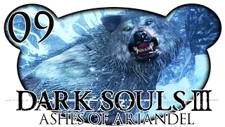 Dark Souls 3: Ashes of Ariandel #09 - BOSS: Grabhüter & Großwolf (Let's Play Deutsch DLC Gameplay)