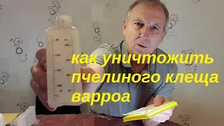 Как обработать пчёл против клеща варроа