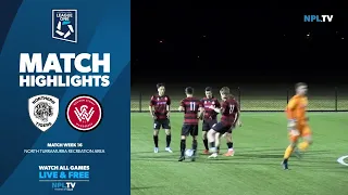 Football NSW League One Men’s Round 16 – Northern Tigers v WSW