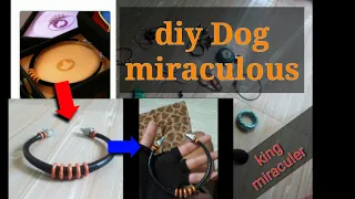 diy dog miraculous[miraculous ladybug]king kong 269