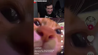 cute cat #cat #catsoftiktok #fyp #funny #bratishkin #cute #funnyvideos