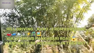 Driving in the Hills 🚘🚦🏍️I Road Drive I Kurseong to Bagdogra I  Full Tour I 🛣️ February 2024