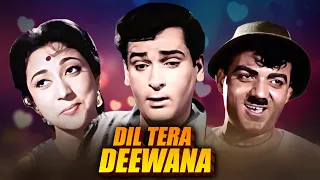 DIL TERA DEEWANA  Full Movie 1962 | Shammi Kapoor Old Classic Movie |   Old Classic Hindi Full Movie