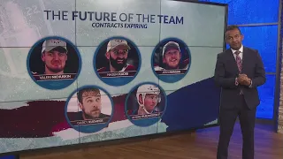 What's the future of the Avalanche team?