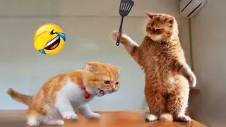 Funniest Cats and Dogs 😺🐶 Funny Animals 2023 😂 Part 25