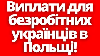 Виплати для безробітних українців в Польщі!