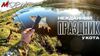 Спиннинговая ловля ПЛОТВЫ и ЕЛЬЦА на мормышку. Отличный КЛЁВ. МОРМЫШИНГ НАНОДЖИГ УЛЬТРАЛАЙТ