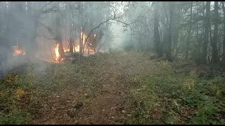 Forest fires continue to tear through Siberia | AFP