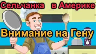 Сельчанка в Америке.  Все внимание на Гену