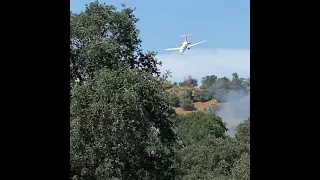 This pilot performs an incredible nose dive at low level in order to fight a wildfire in California