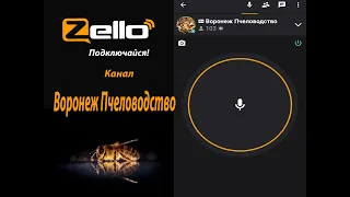 Кашковский В Г 16 12 2020г на канале Воронеж Пчеловодство рация Zello