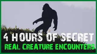 4+ HOURS OF SCARY SECRET CREATURE ENCOUNTER HORROR STORIES (COMPILATION)