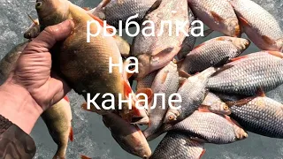 трофейные размеры. закрытие зимнего сезона. канал 112км.рыбалка с батей.