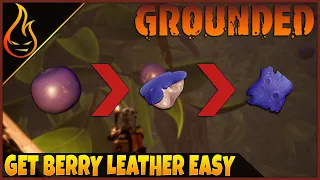 Farm Berry Leather Easy In Grounded The Game